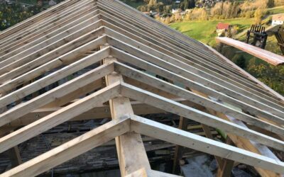 Charpente traditionnelle dans les Vosges : l’alliance de l’artisanat et de la robustesse